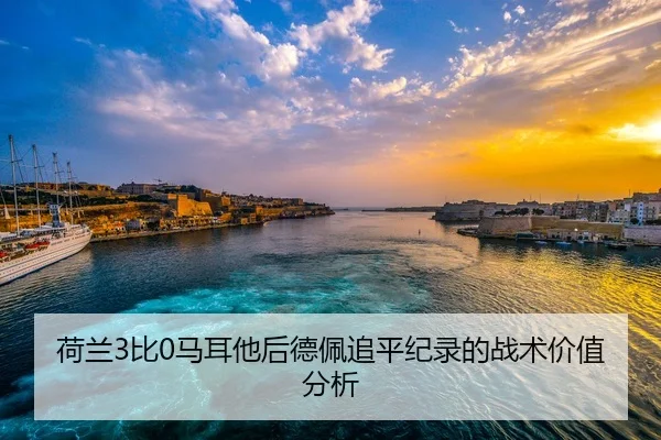he-lan-bi-ma-er-ta-hou-de-pei-zhui-ping-ji-lu-de-zhan-shu-jia-zhi-fen-xi-2-501.jpg